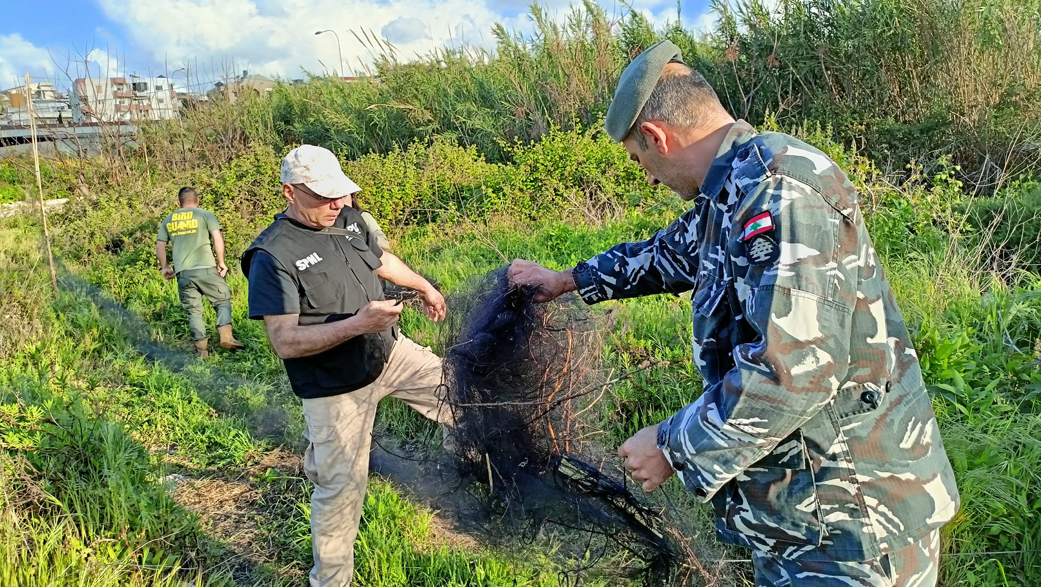 Migratory Bird Tracking Program Shows Positive Results